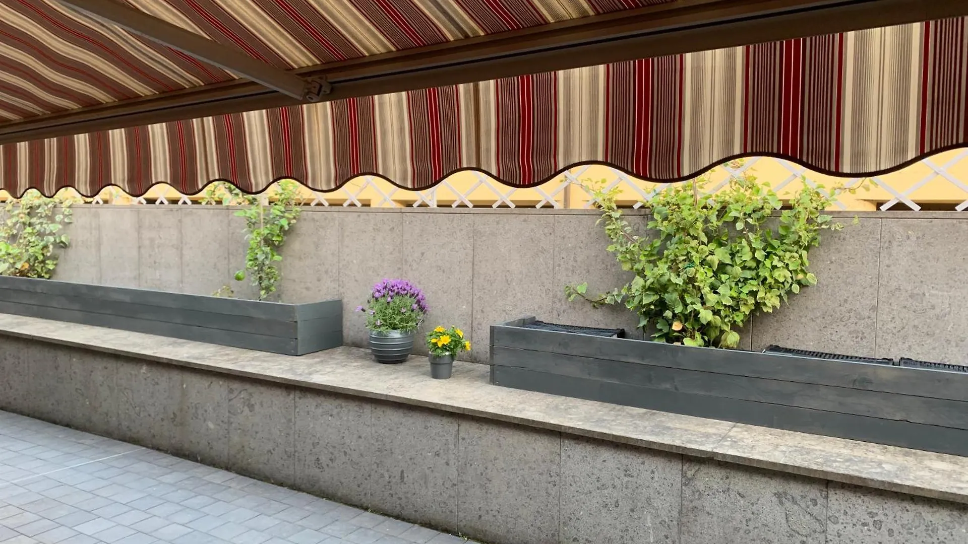 Appartamento La Terrazza San Giovanni Valdarno Italia